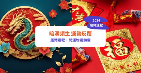 2024年屬豬|【屬豬2024生肖運勢】暗湧頻生，運勢反覆｜屬豬運 